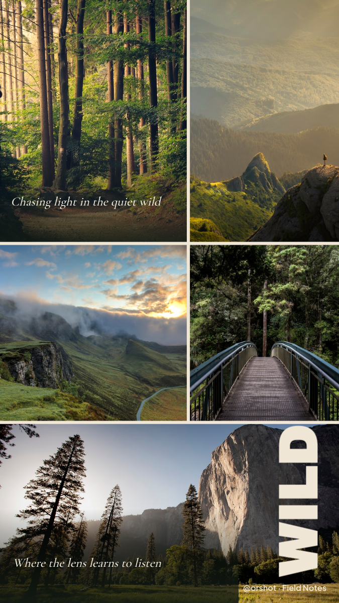 Nature Photography Moodboard Story — Asymmetric Photo Grid