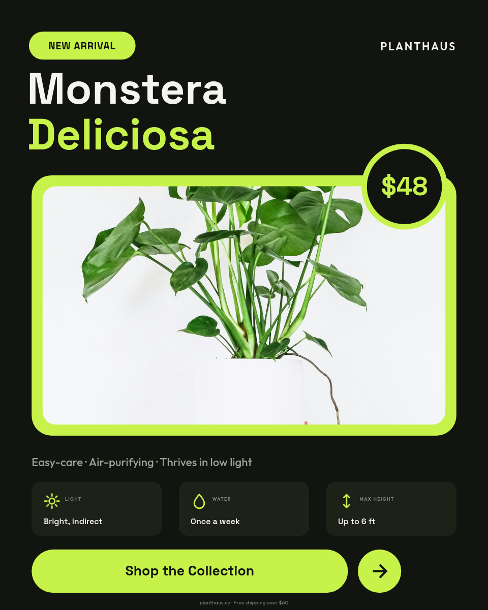 Bold Black & Lime Plant Shop Product Card