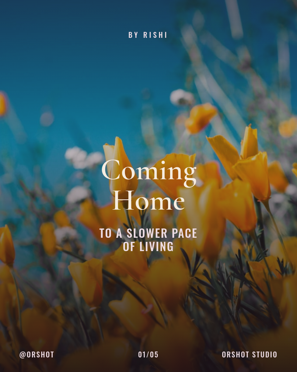 Editorial Field Portrait Cover with Serif Title — IG Portrait