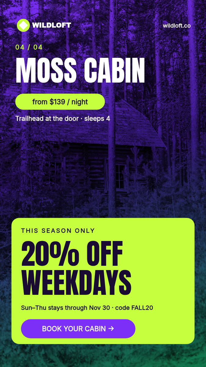 Animated Slideshow Story 9:16 — Cabin Stays, Violet Duotone