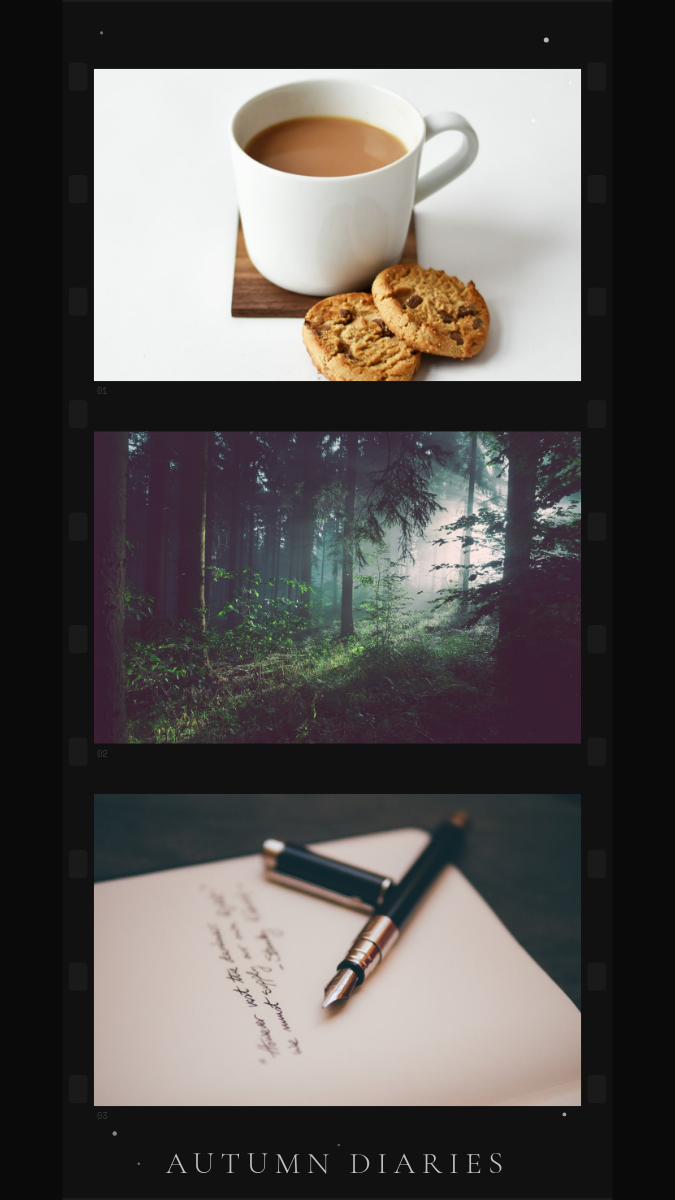 Dark Film Strip Aesthetic Photo Story with Sprocket Holes and Sparkle Accents