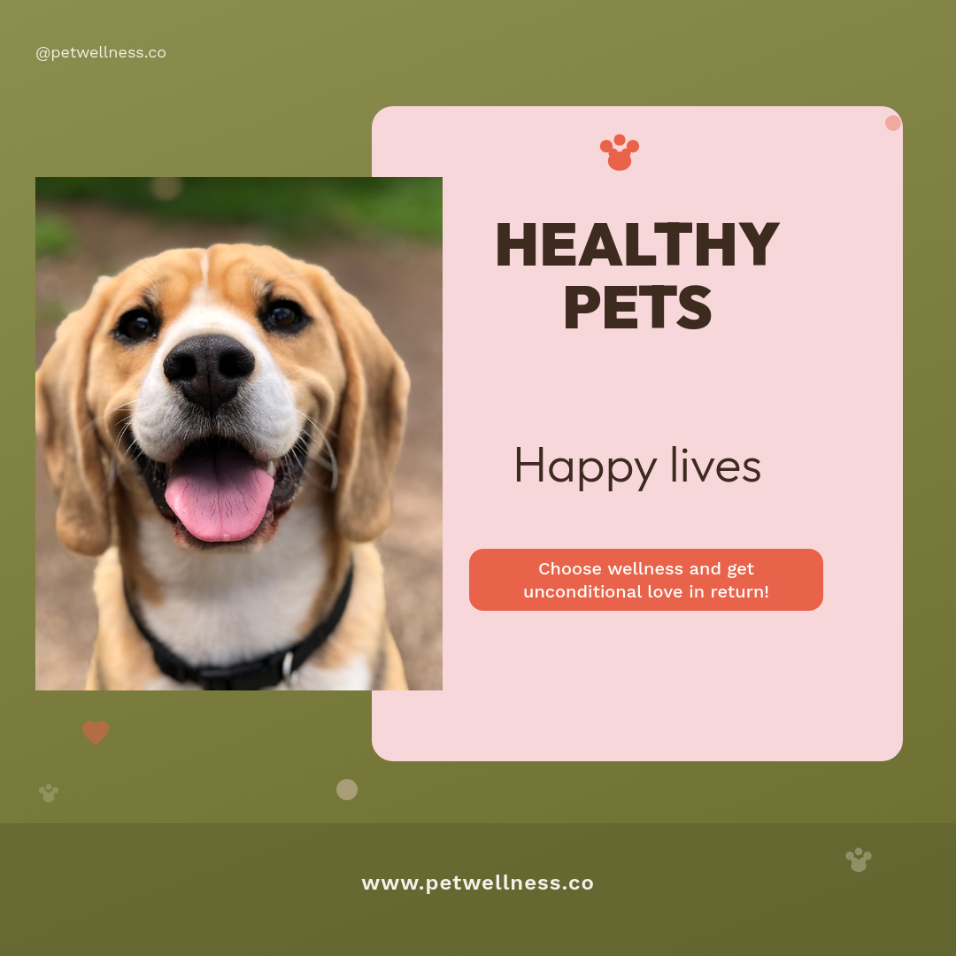 Warm Olive Pet Wellness Service Promo with Pink Card Overlay and Paw Print Accent