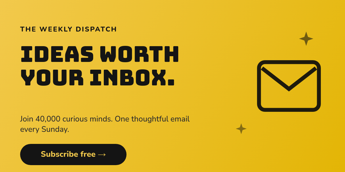 Mustard & Ink Bungee Newsletter Subscribe Email Banner
