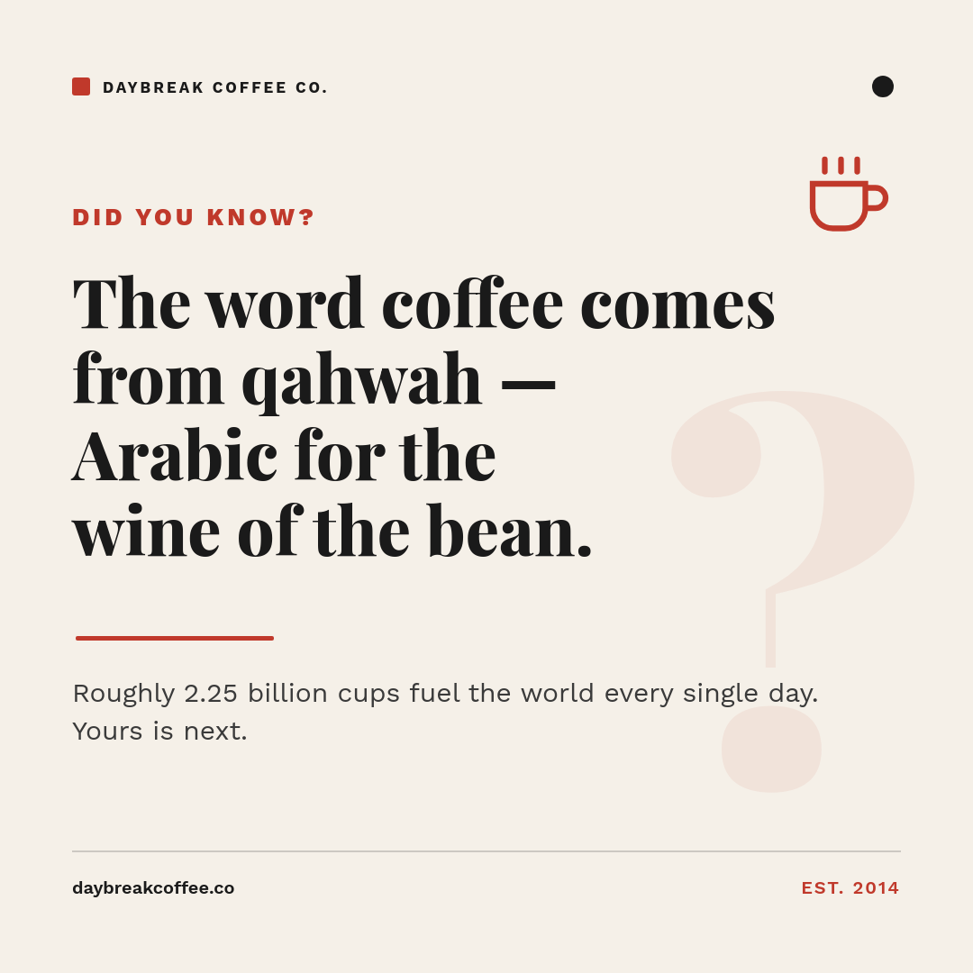 Editorial Cream Did-You-Know Coffee Card — Bold Serif Stat