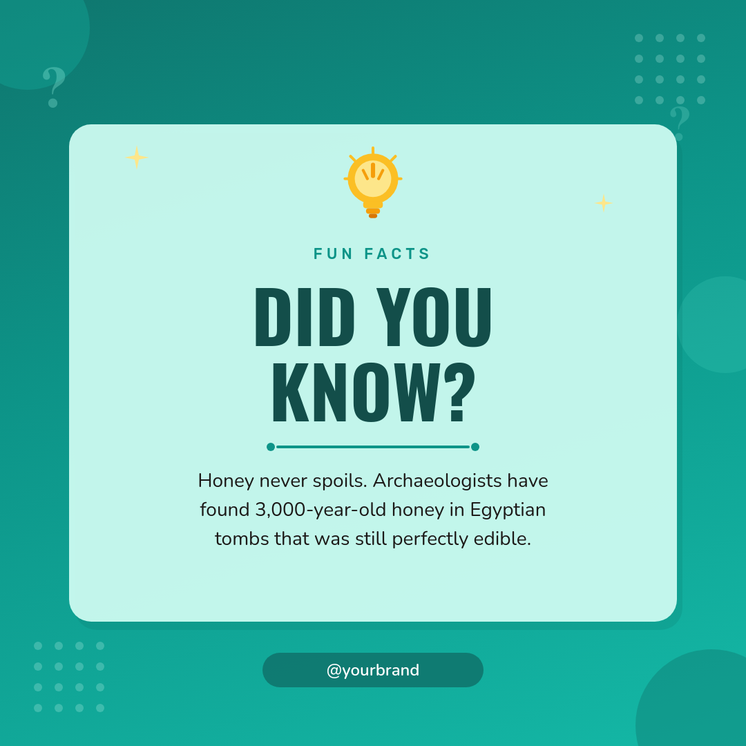 Vibrant Teal Did You Know Fact Card with Lightbulb Icon and Bold Headline