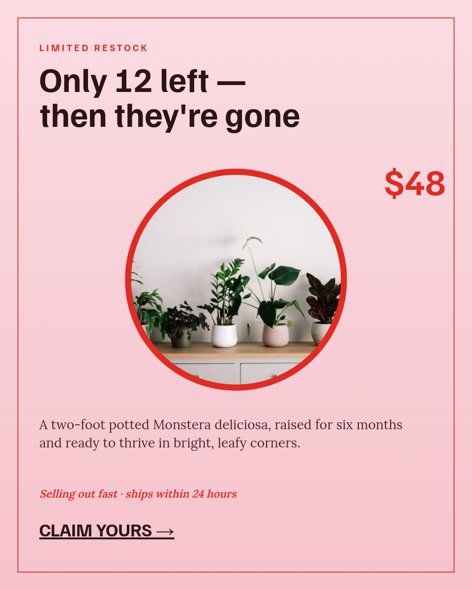 Potted Monstera Product Card — Pastel Pink Scarcity