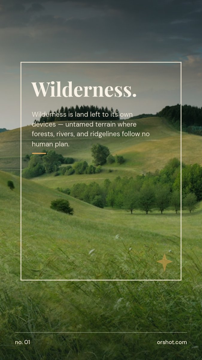 Editorial Wilderness Nature Story — Serif Frame on Forest Photo