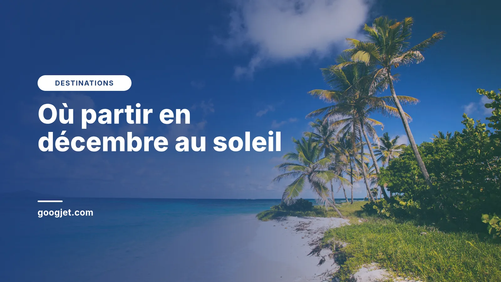 Plage de sable blanc bordée de palmiers et mer turquoise