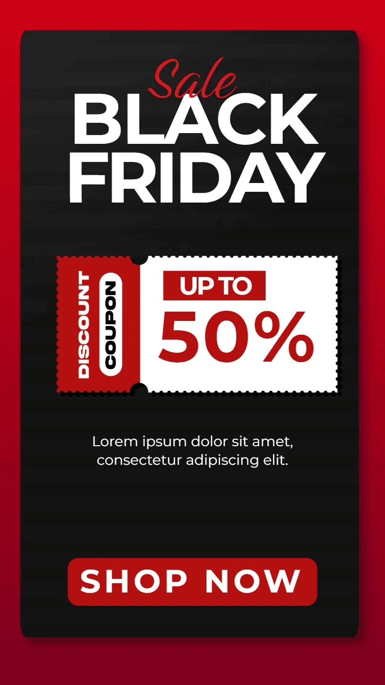 Black Friday Special Offer Poster